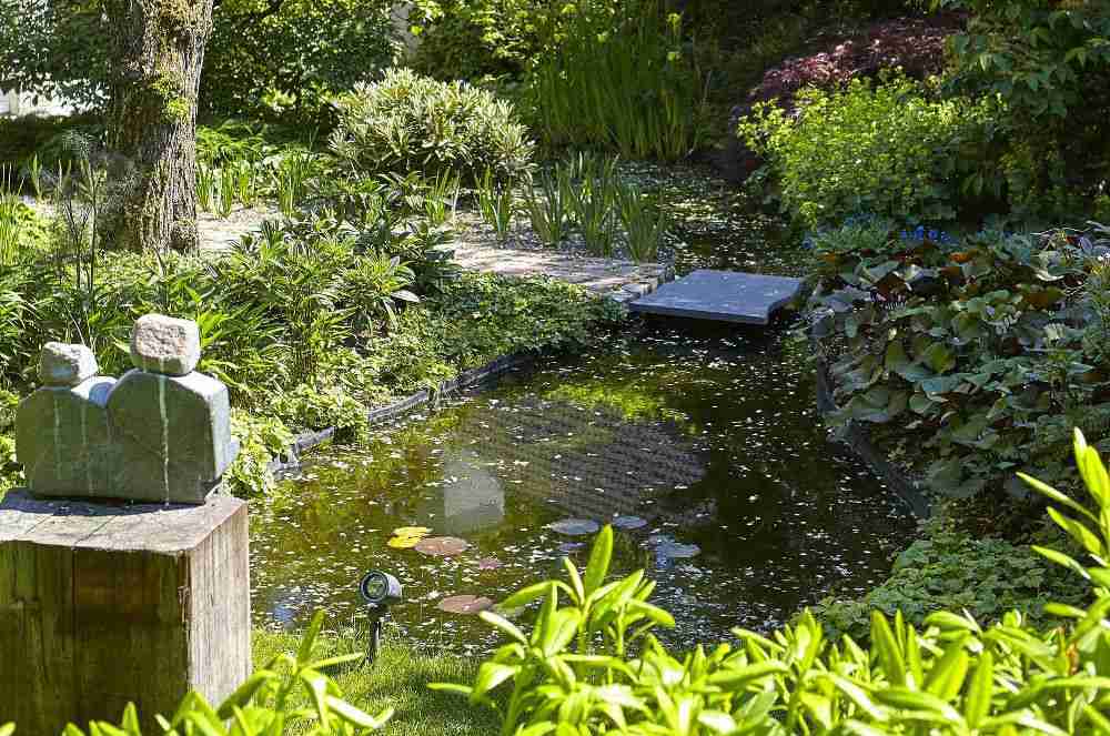 rattenholen in de tuin