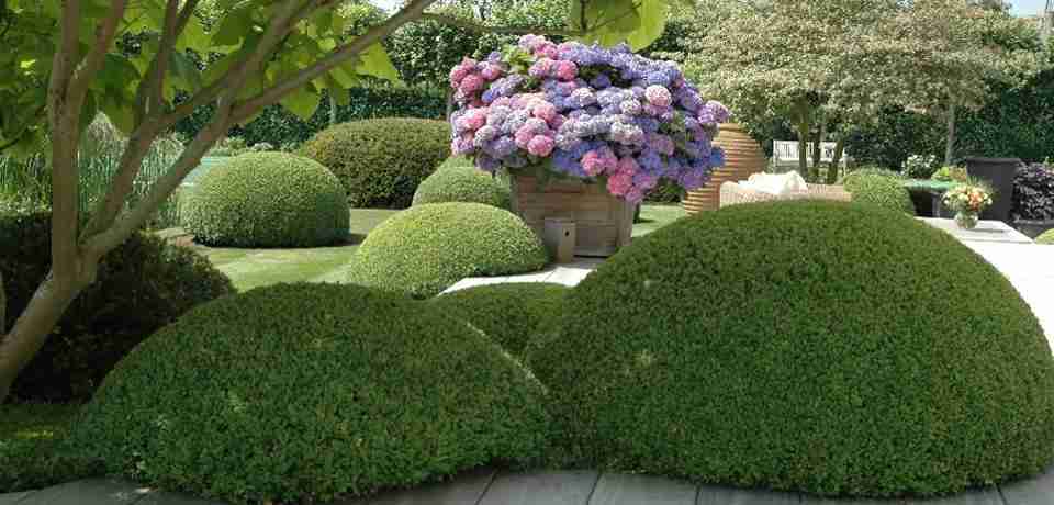 sieraad in uw tuin, tuinontwerp onderhoudsvriendelijke tuin.