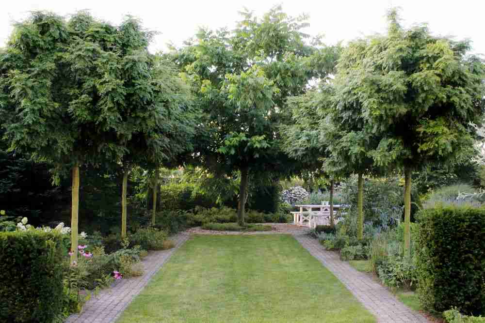 florera tuinarchitect zorgt voor exclusieve tuinsfeer uniek passend bij tuinklant. 