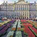 tulpen op de Dam te Amsterdam tijdens de Nationale dag