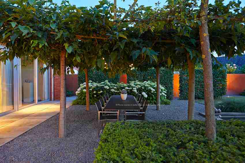 prachtig hagenspel en licht in de tuin op de erfafscheiding zodat jij meer kunt genieten van jouw tuin- florera.nl
