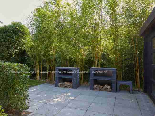 een bamboehaag voor privacy en een rustige achtergrond van terras in luxe stadstuin-florera.nl