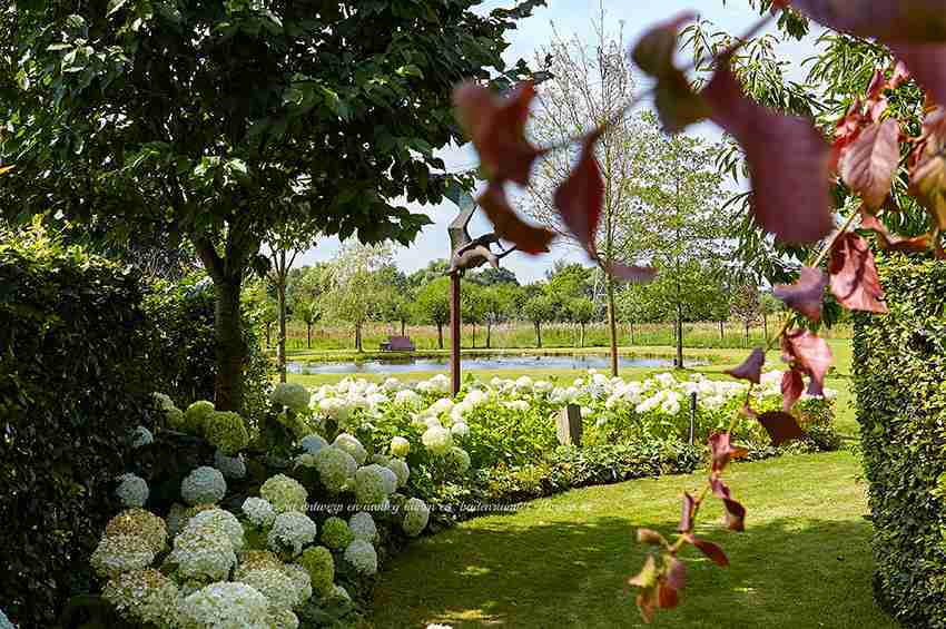 grote landelijke tuin Geldrop met zwemvijver en landelijke beplanting na tuinontwerp via Florera-florera.nl
