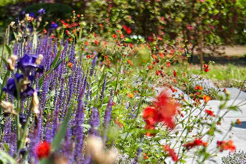 mediterrane tuin aanleggen limburg na tuinontwerp via Florera
