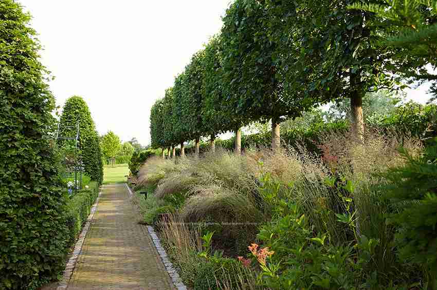 moderne landelijke tuin Oirschot met siergrassen en natuurlijke beplantingen- florera.nl