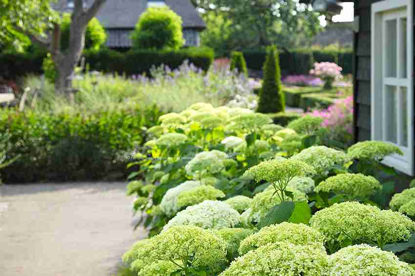 tuinrenovatie grote tuin Noord Brabant via Florera tuinarchitect